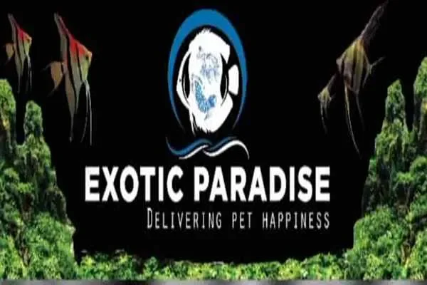 Image of: Exotic Paradise